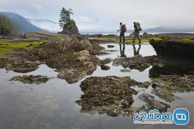 در مسیر ساحل غربی West Coast Trail در جزیره ونکوور Vancouver Island کوهنوردی کنید