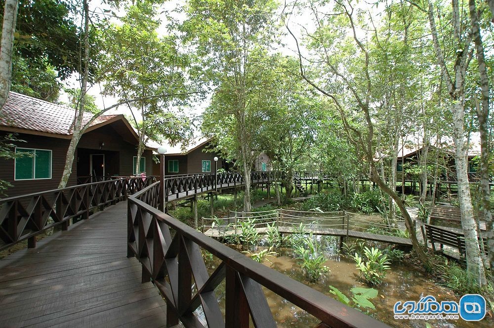مجموعه اقامتی جنگلی سوکائو Sukau Rainforest Lodge، مالزی