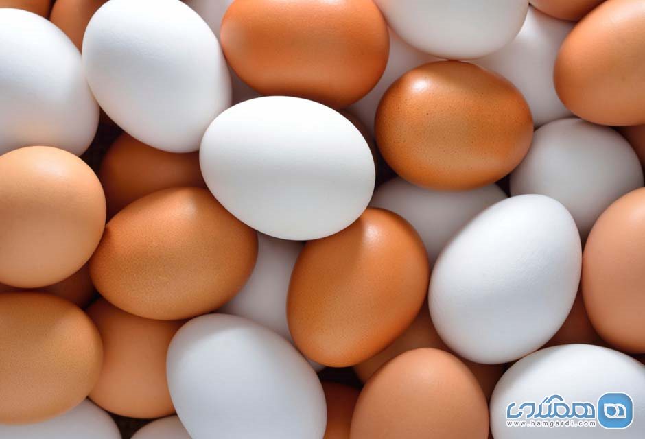 تخم مرغ قهوه ای از سفید آن ها خوشمزه تر و پر خاصیت تر است!