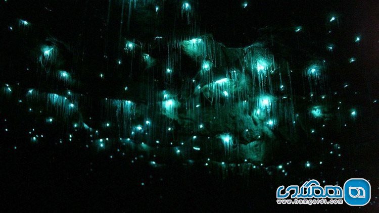 غار های کرم شب تاب وایتومو