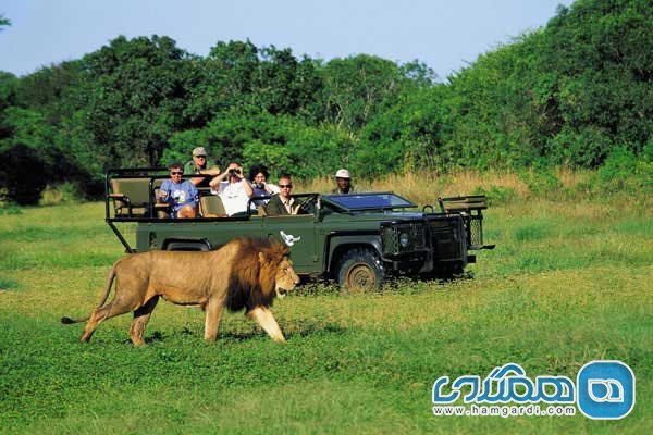 بهترین مسیرهای سفر جاده ای به آفریقای جنوبی