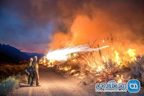 عکس منتخب نشنال جئوگرافیک | مبارزه با آتش