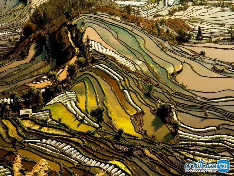 در چین، تراس های برنج واقع در یون نان را تماشا کنید