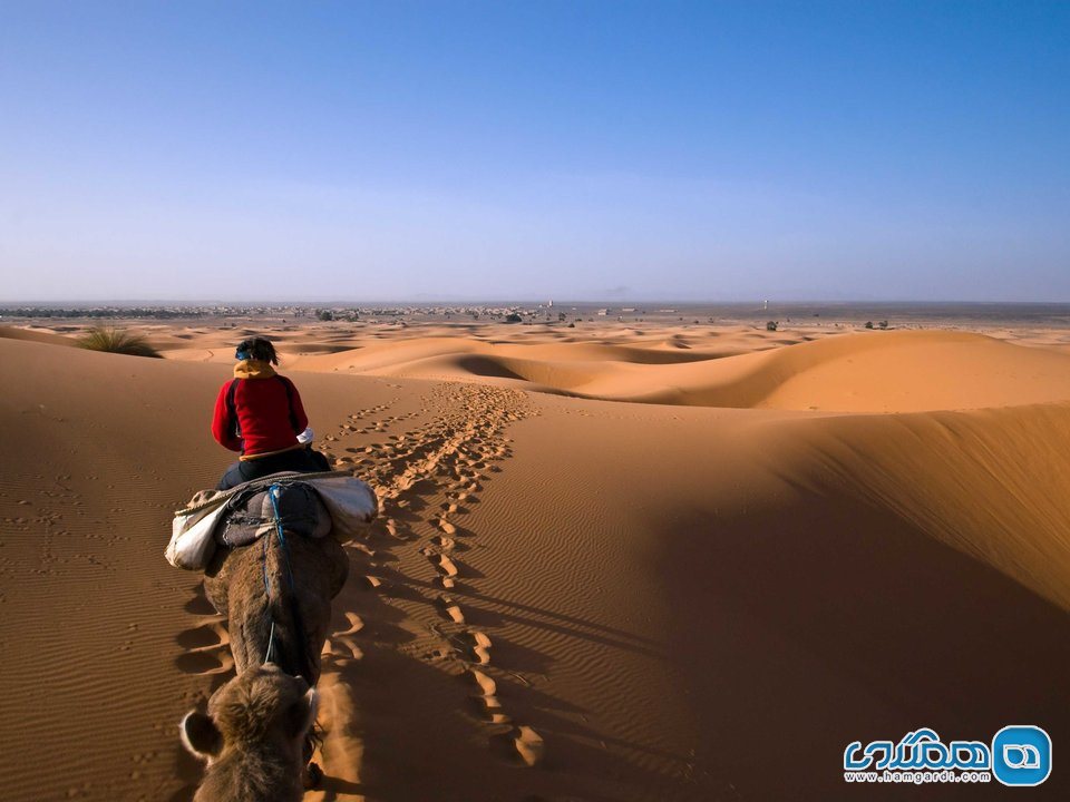در امارات، در میان تپه های شنی صحرای خارج از ابوظبی حرکت کنید