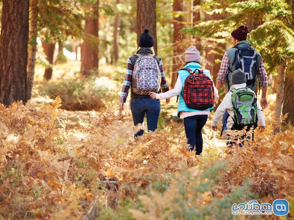 دلیل این که پاییز بهترین زمان برای سفر کردن است : آب و هوا معتدل است