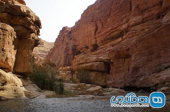 الحسا عربستان