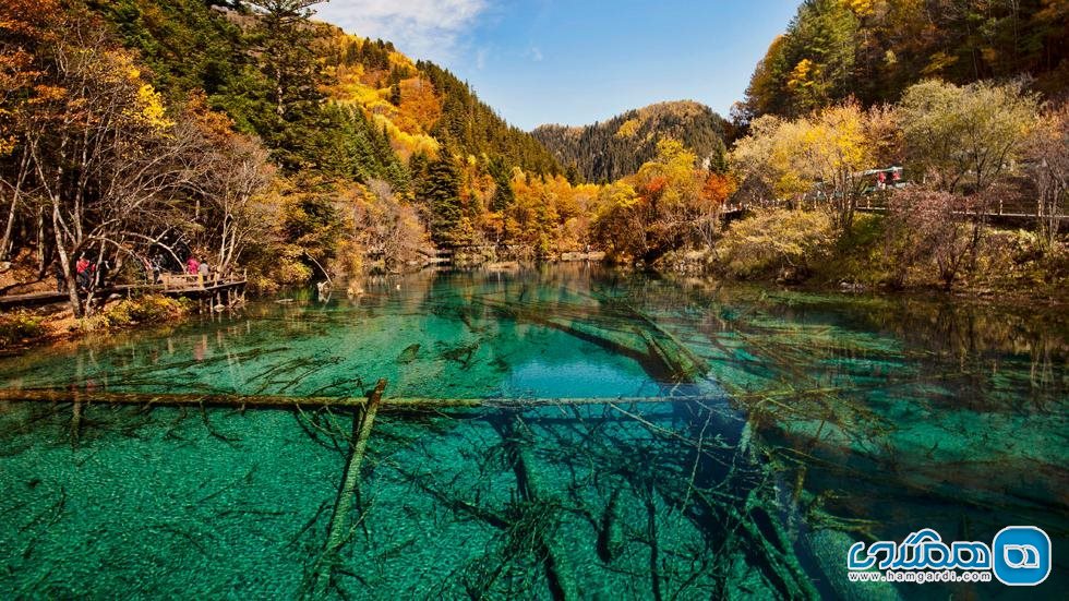 دریاچه پنج گل Five-Flower Lake در پارک ملی جیوژایگو Jiuzhaigou National Park