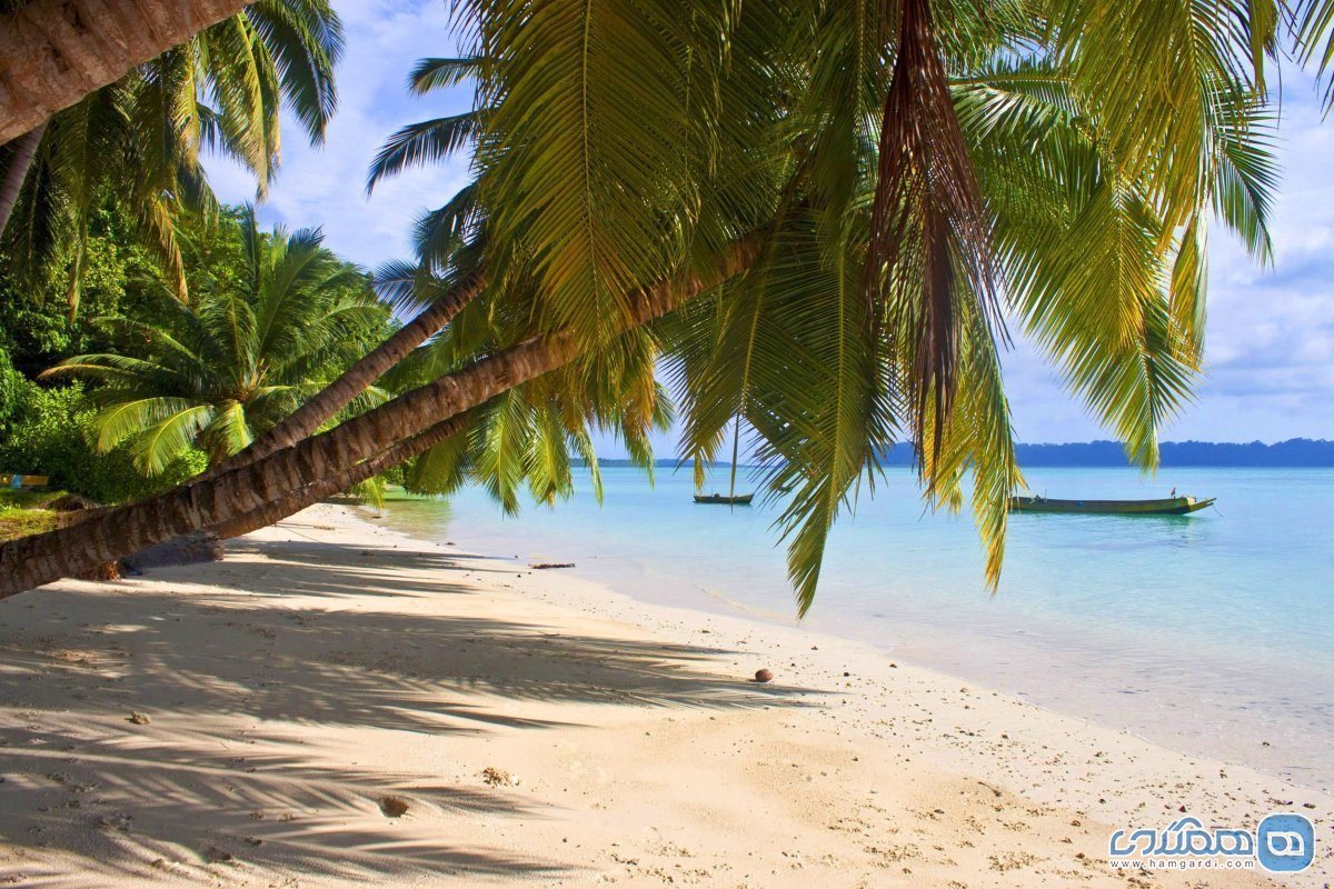 جزیره هیو لوک Havelock Island