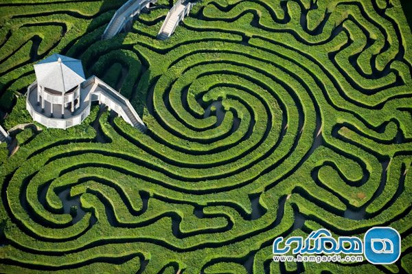 Longleat Hedge Maze