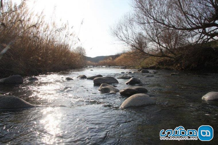 بوستان جنگلی مشگین شهر در مشگین شهر