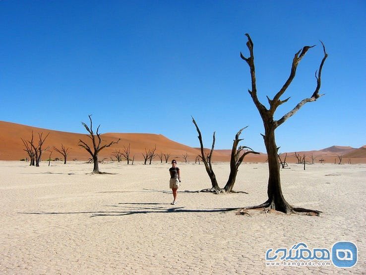 بیابان دد ولی Dead Vlei Desert در نامیبیا