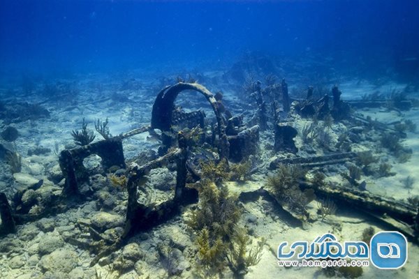 شماره دو: موزه زیر آب شیب رک تریل در ایالت فلوریدا Shipwreck Trail Florida
