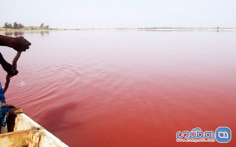 دریاچه رتبا Lake Retba در سنگال