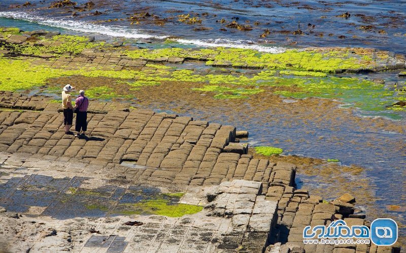 صخره های موزاییکی Tessellated Pavement در تنگه شاهین یا گردن شاهین Eaglehawk Neck، تاسمانی