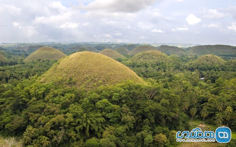 تپه های شکلاتی Chocolate Hills در فیلیپین