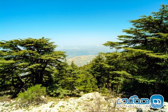 منطقه حفاظت شده شوف Shouf در لبنان
