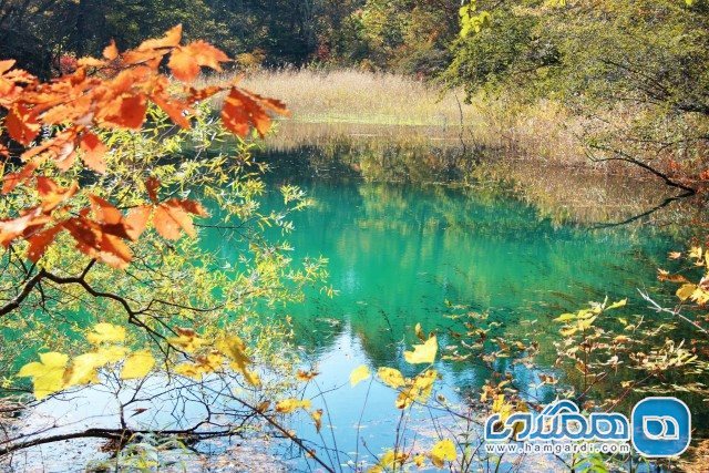 تالاب گوشیکی Goshiki Pond در استان فوکوشیما