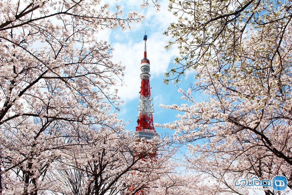 توکیو در فصل بهار