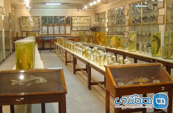 جاهای دیدنی تهران | موزه دانشکده علوم (موزه فاطمی)