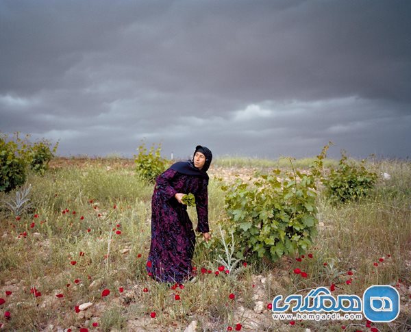 تاکستان جنگ زده