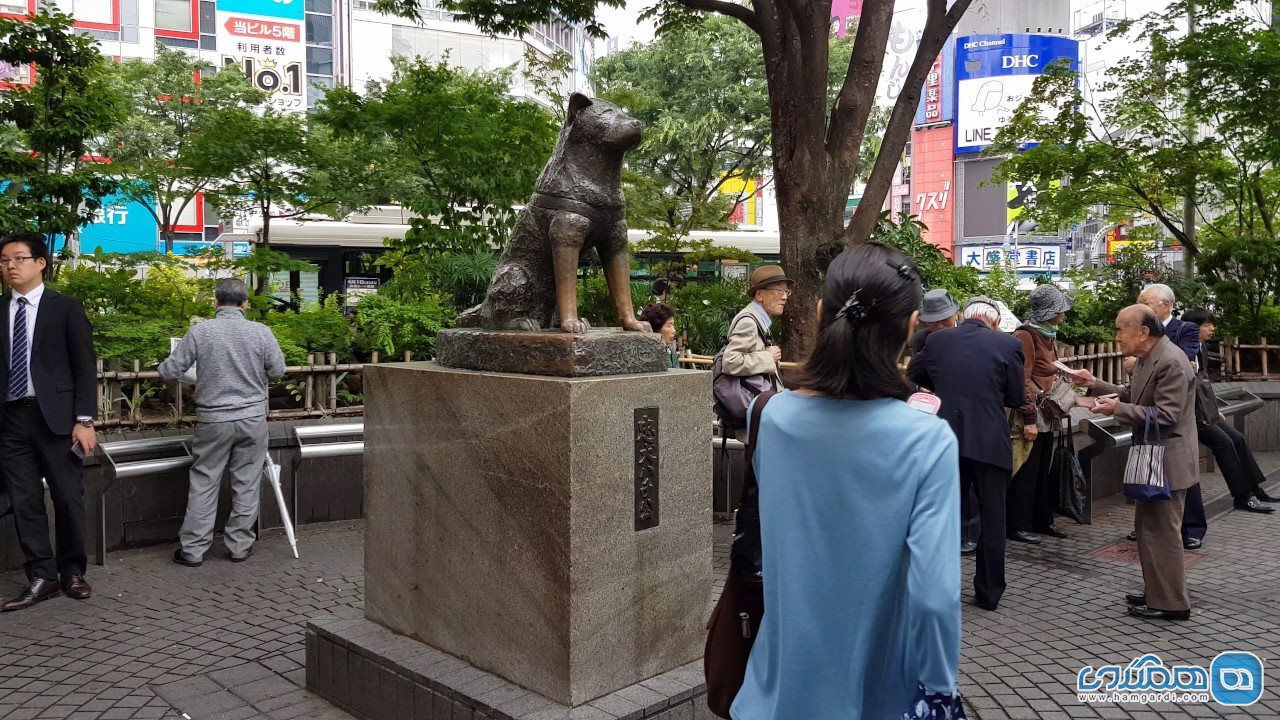 مجسمه هاچیکو
