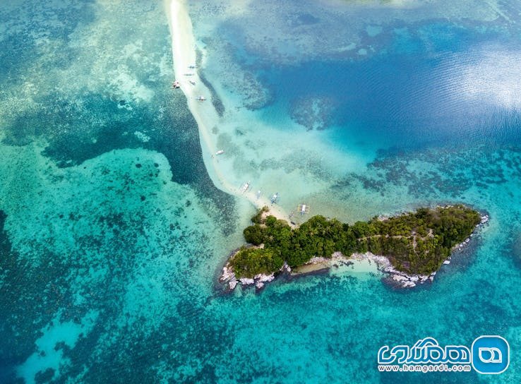 تصاویر جالب و واقعی نشنال جغرافی : جزیره مار یا جزیره اسنیک Snake Island در فیلیپین