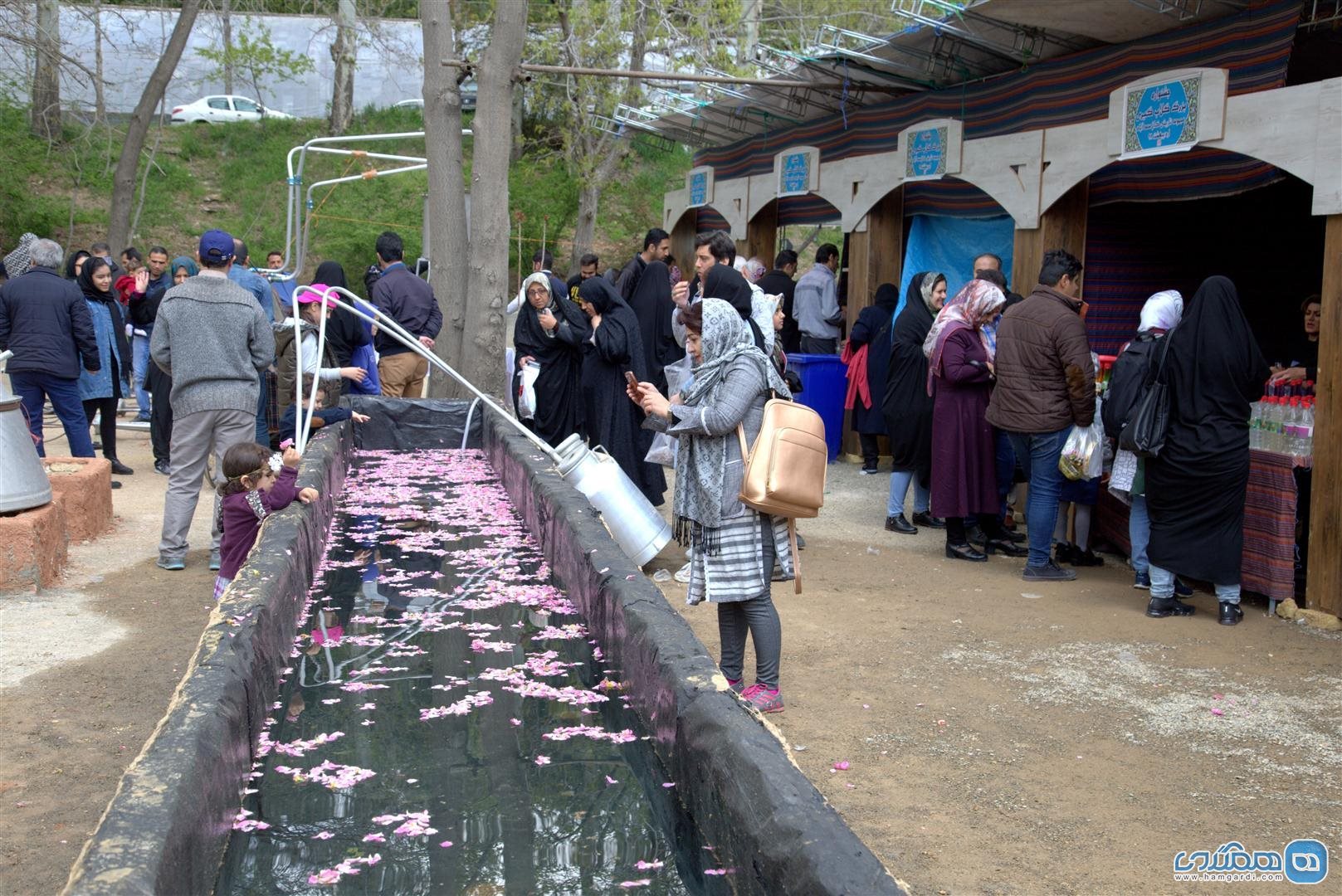 جشنواره گلاب گیری در کاخ سعدآباد 4