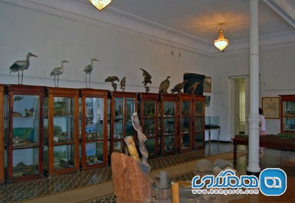 موزه دولتی خاریتون آخلدیانی (Khariton Akhvlediani Adjara State Museum)