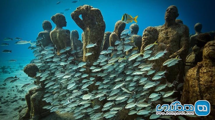 چیزهای عجیب و اشیاء جالب زیر آب : موزه هنری زیر آبی در فلوریدا