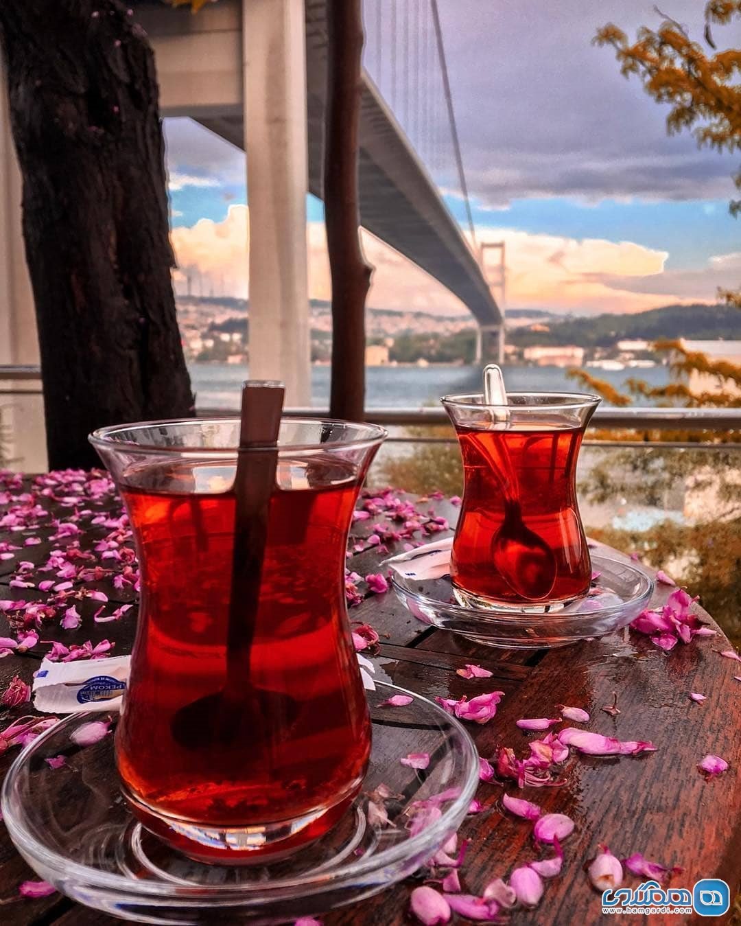 نوشیدن چای و قهوه در ترکیه 8