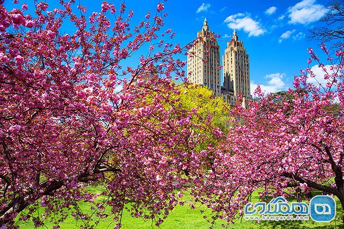 فصل بهار در نیویورک