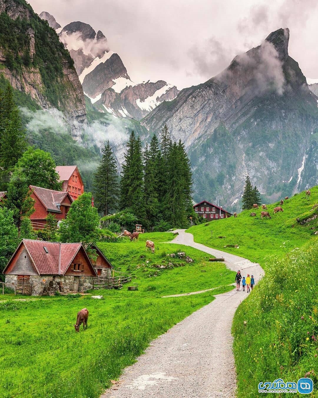 کوه های آلپ سوئیس
