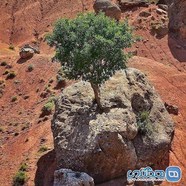 مروارید سبز ارسنجان