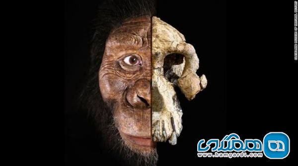 چهره قدیمی ترین انسان های اولیه بازسازی شد