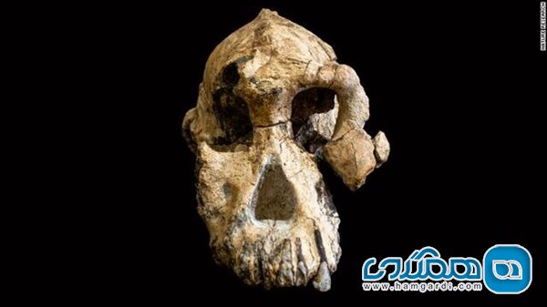 چهره قدیمی ترین انسان های اولیه بازسازی شد 2