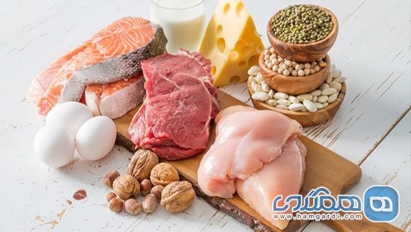 مضرات مصرف ناکافی پروتئین 