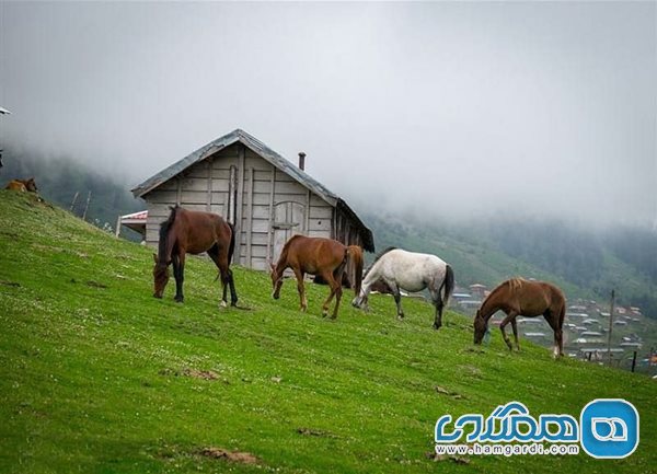 منطقه ییلاقی دشت النزه