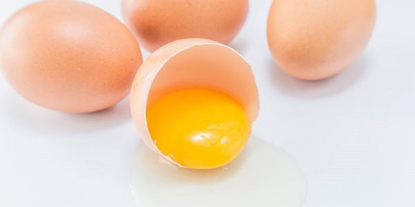 باورغلط مصرف نکردن زرده تخم مرغ
