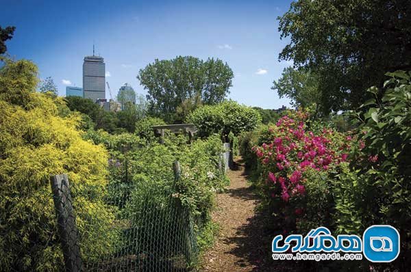 راهنمای سفر به بوستون: قدم زدن عصرانه در باغ های پیروزی فنوی
