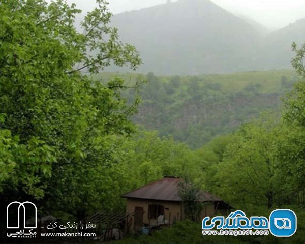 جنگل تنکه چالوس