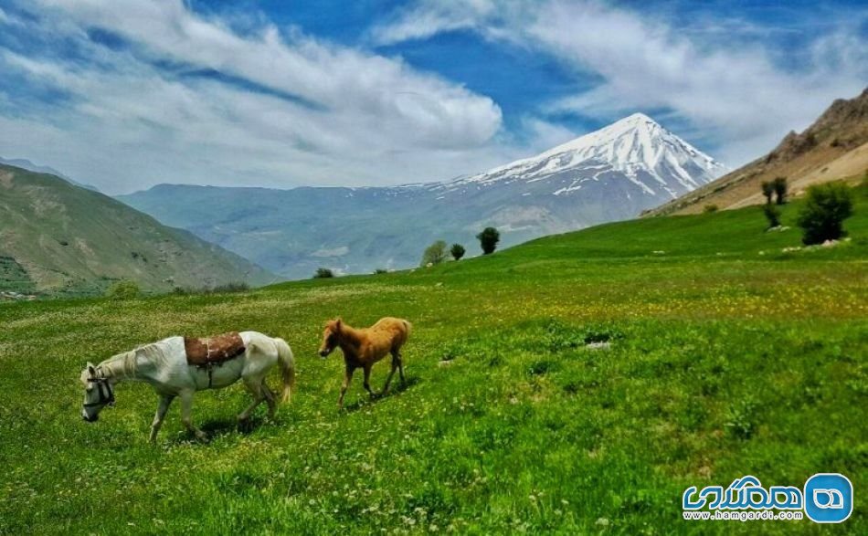 دشت آزو را در تصاویرتان ثبت کنید