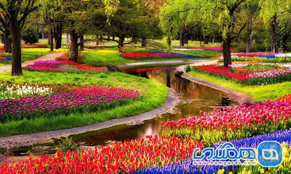 باغ کوکنهف (keukenhof gardens)