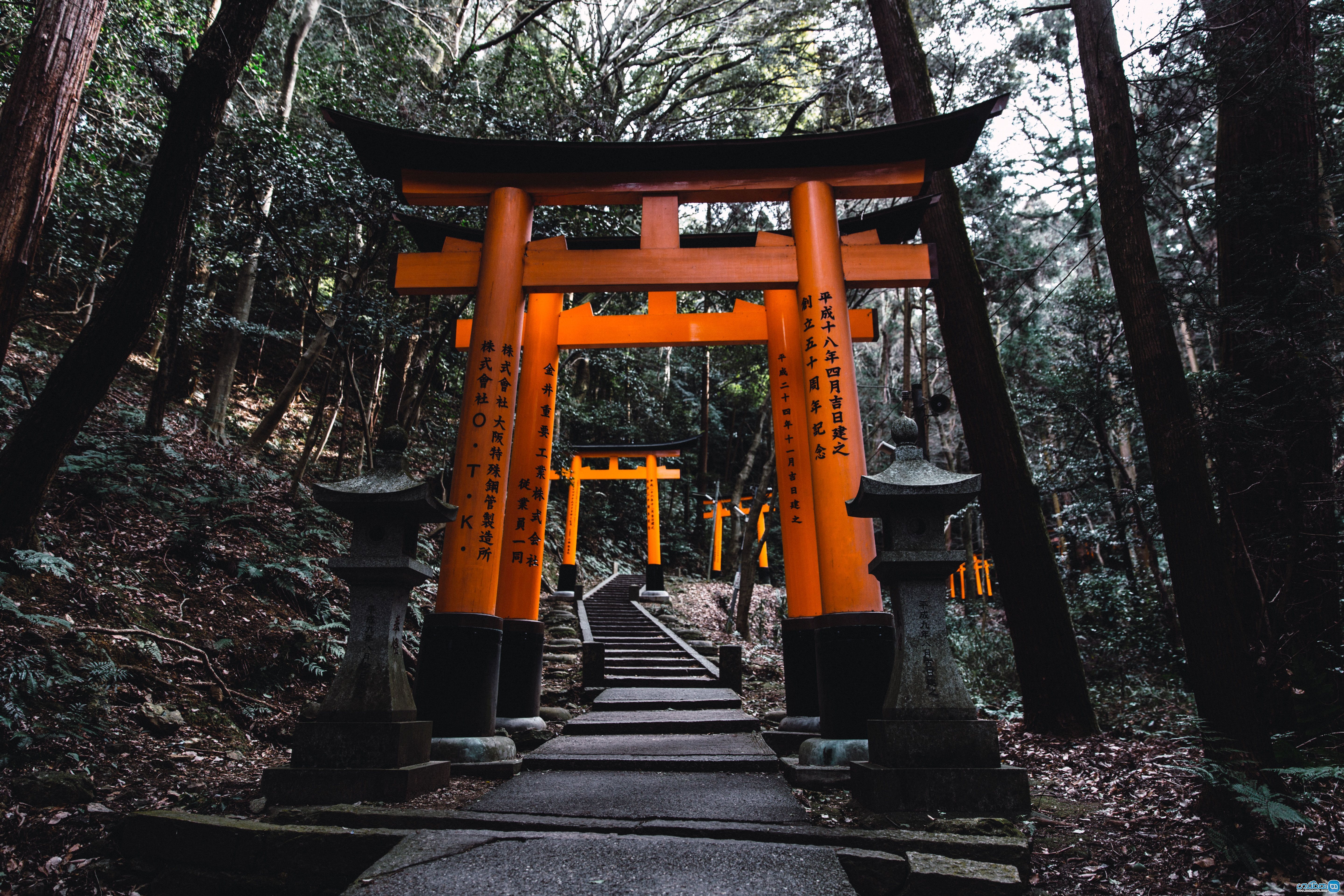 مسیر فوشیمی ایناری Fushimi Inari
