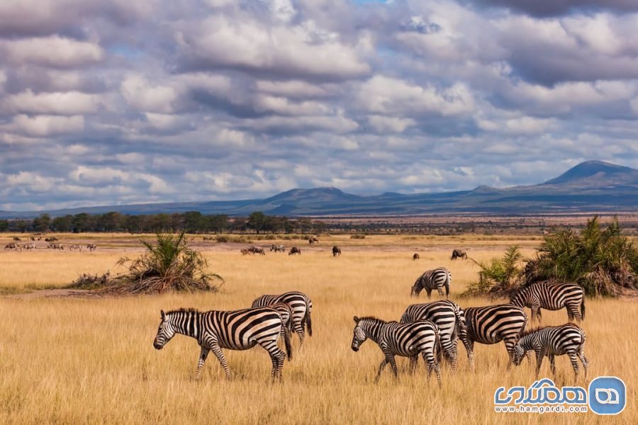 زیبا ترین و محبوب ترین مقاصد گردشگری اینستاگرام پسند : کنیا