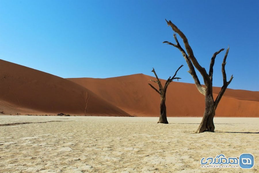 زیبا ترین و محبوب ترین مقاصد گردشگری اینستاگرام پسند : نامیبیا