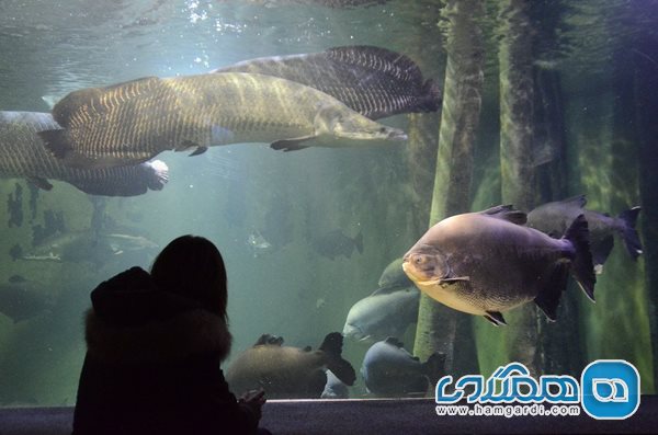 Acuario de Zaragoza