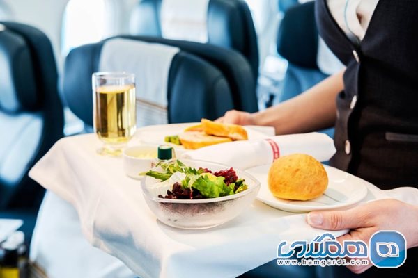 غذا خوردن در هواپیما