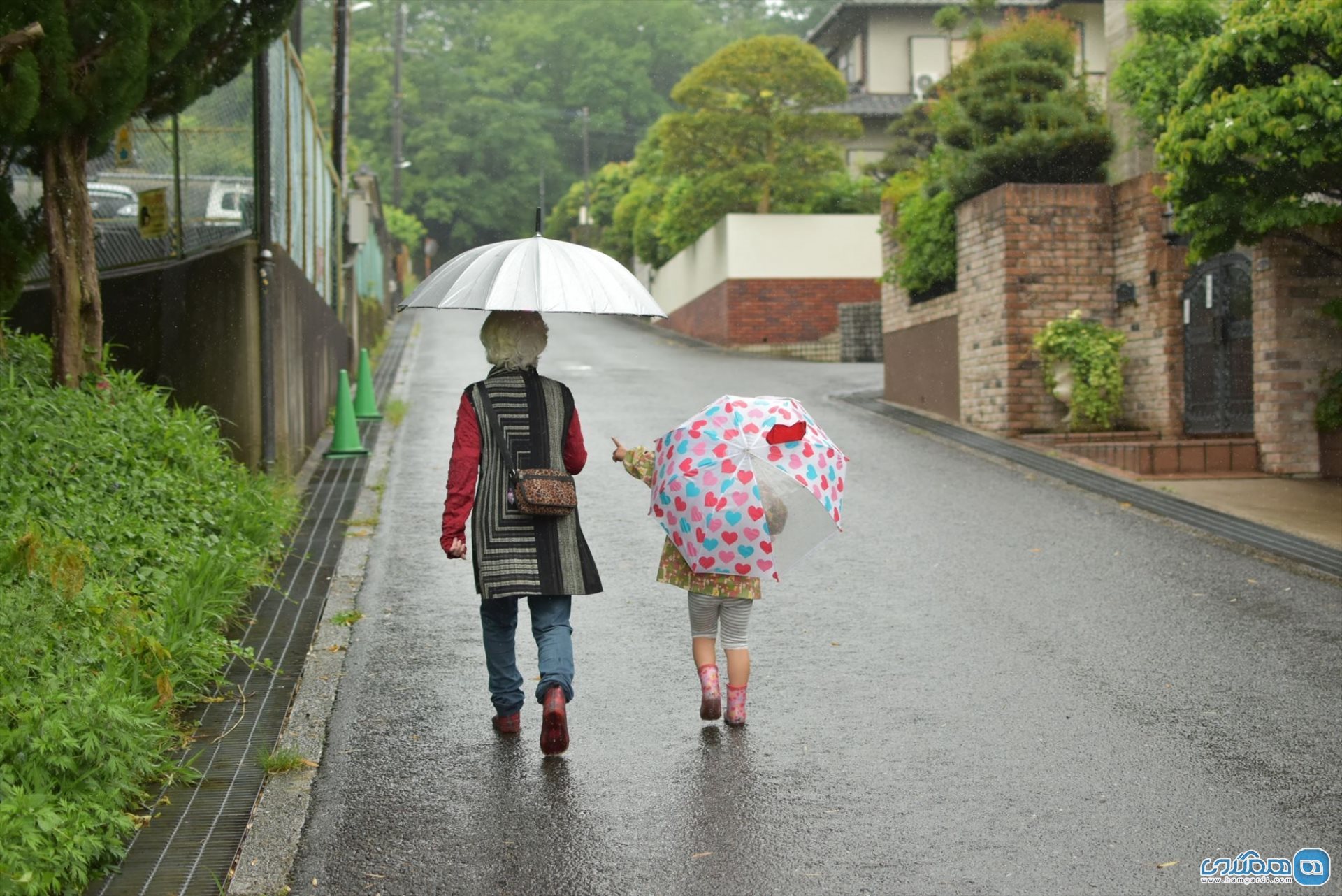 فصل بارانی در ژاپن: اوایل تابستان