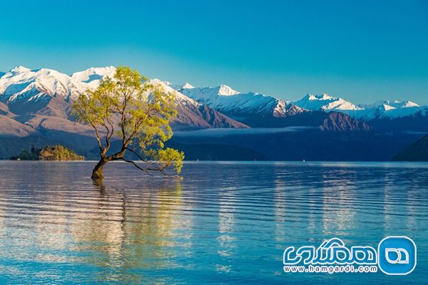 دریاچه واناکا (Lake Wanaka)