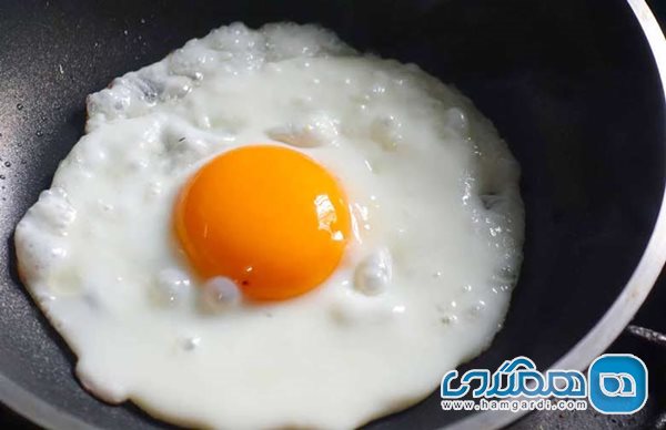 مصرف تخم مرغ برای هوش مفید است